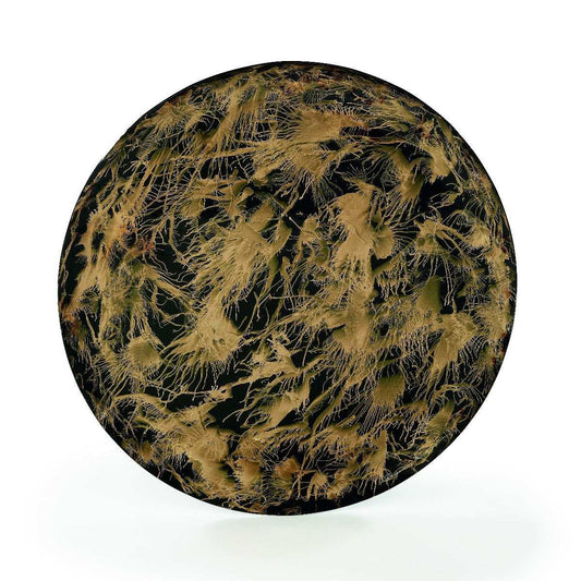 Wanddekoration "Prato de Parede" von Regina Medeiros